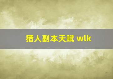 猎人副本天赋 wlk